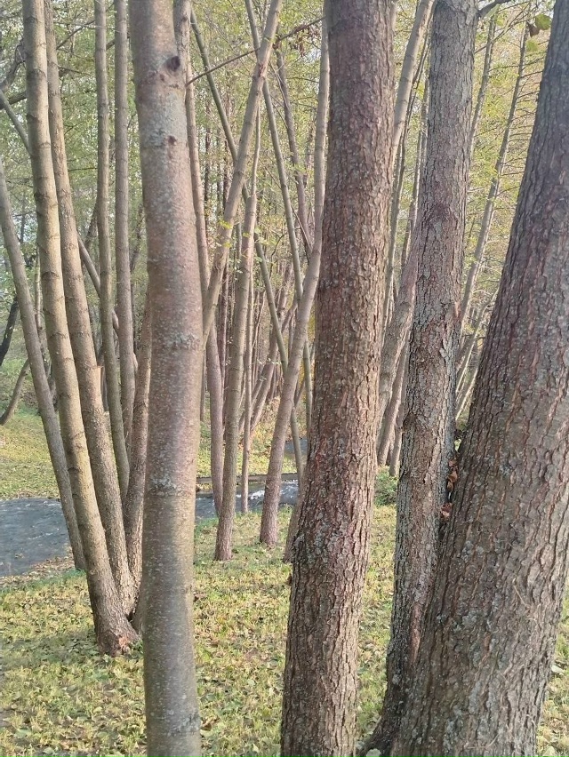 Фото от подписчика.
🤩Хочешь чтобы твоё фото было тут?...