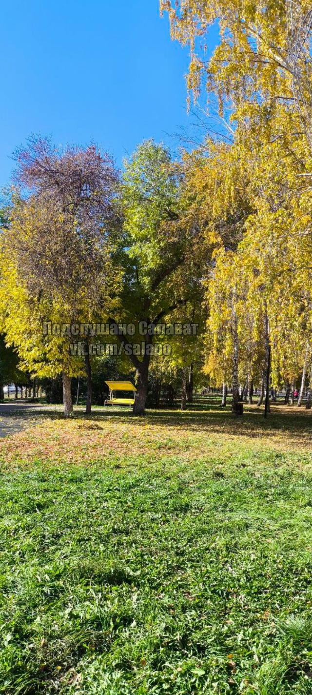 Осень в Салавате великолепна❤??