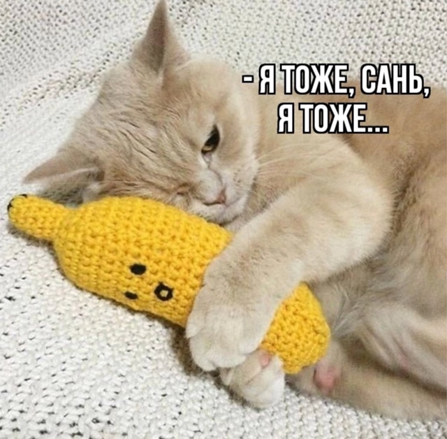 Как же я их понимаю