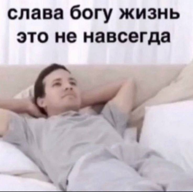 Любое комнатное растение через пару дней после того, как попало ко мне в дом