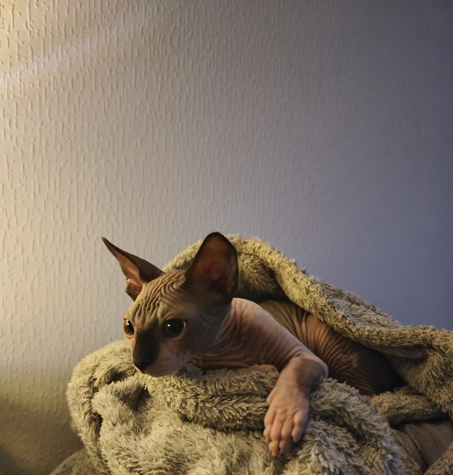 Мистер Уксус :3