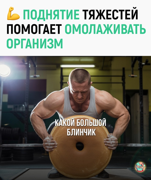 Теперь присед и жим буквально вклад в долголетие