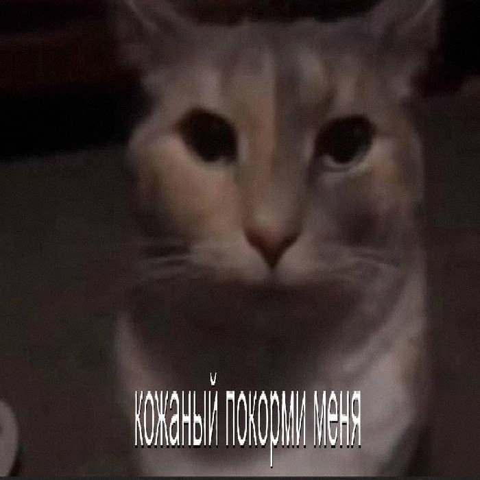 Утренняя подборочка