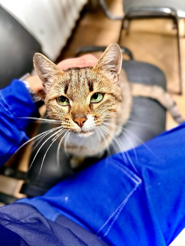 Если и предаваться распиздяйству, то делать это на шир?...