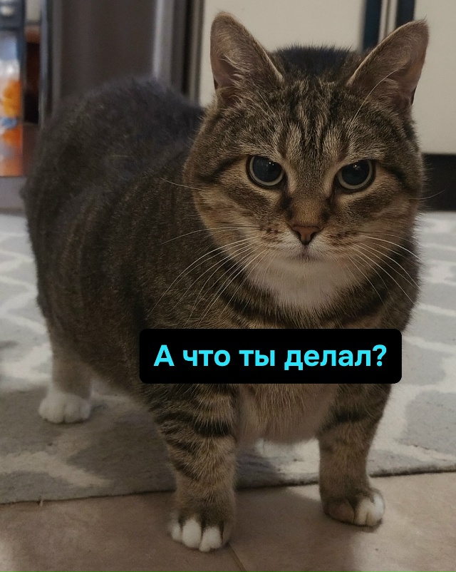 Великая усталость приходит не от дел, а от осознания их...