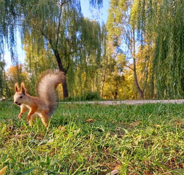 Самара, парк Гагарина