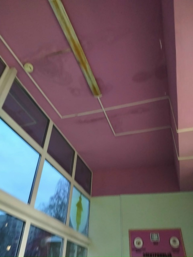 Сегодня были в центральной детской библиотеке.Картина...