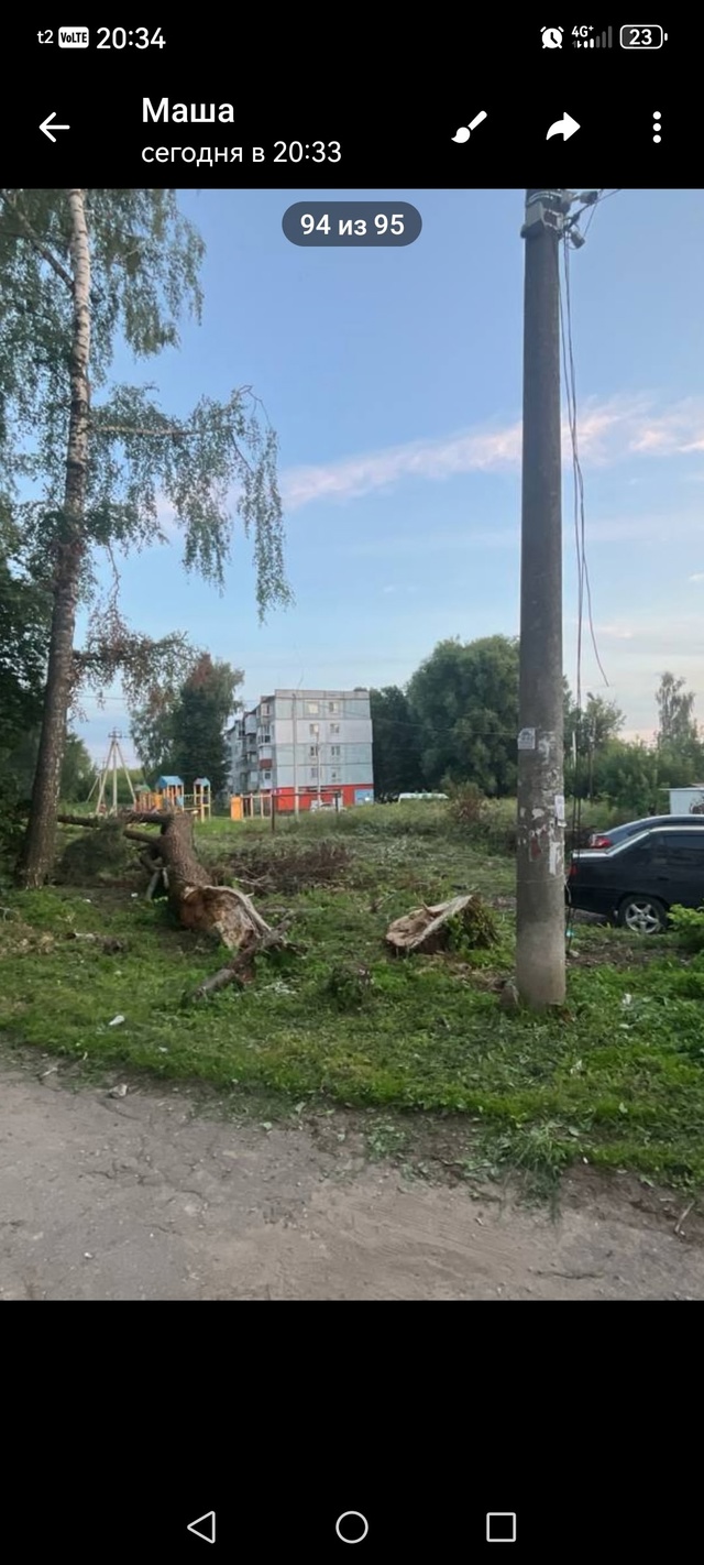 Пост обиды реально... Город Болохово , дерево упало на м?...