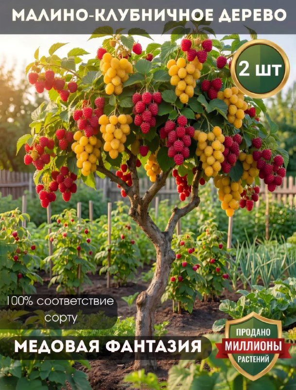 Российских бабушек массово скамят на маркетплейсах — площадки завалены карточками саженцев со сгенер