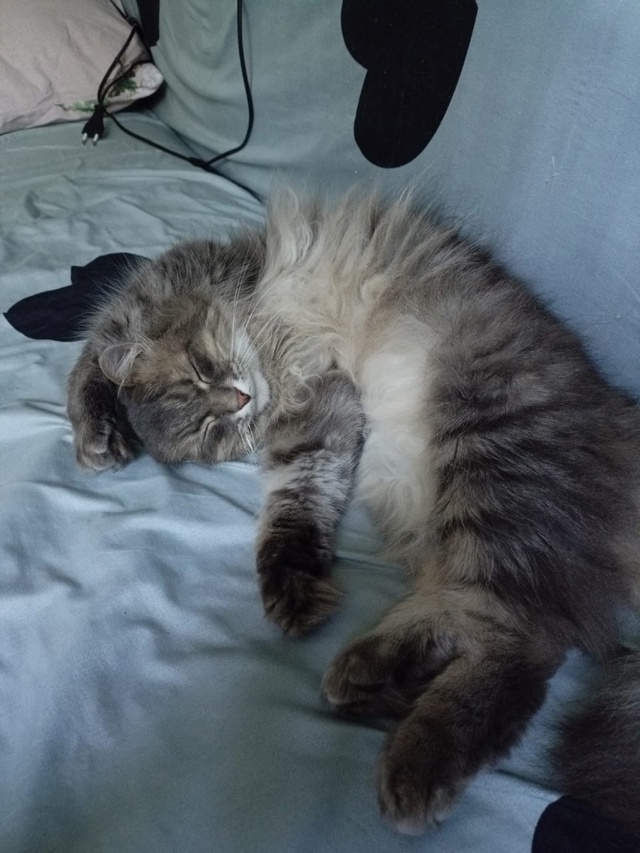 😺 Всем привет! На связи Маркиз Алексеич... Желаю вам вс?...