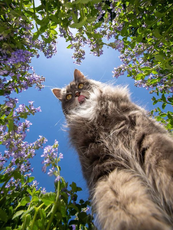 Pov: Вы мышь🤩