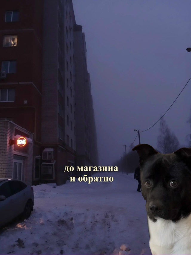 Чисто я: