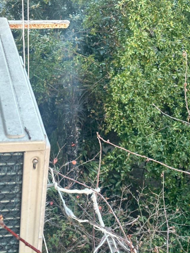 #нампишут
Здравствуйте!
Сегодня на улице Садовая, из ?...