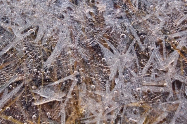 Рисунки и паттерны заполярного ноября в объективе Еле?...