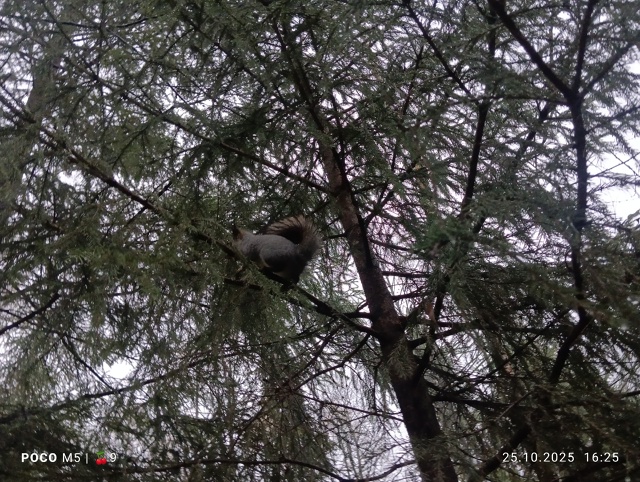 Прибрался на экотропе