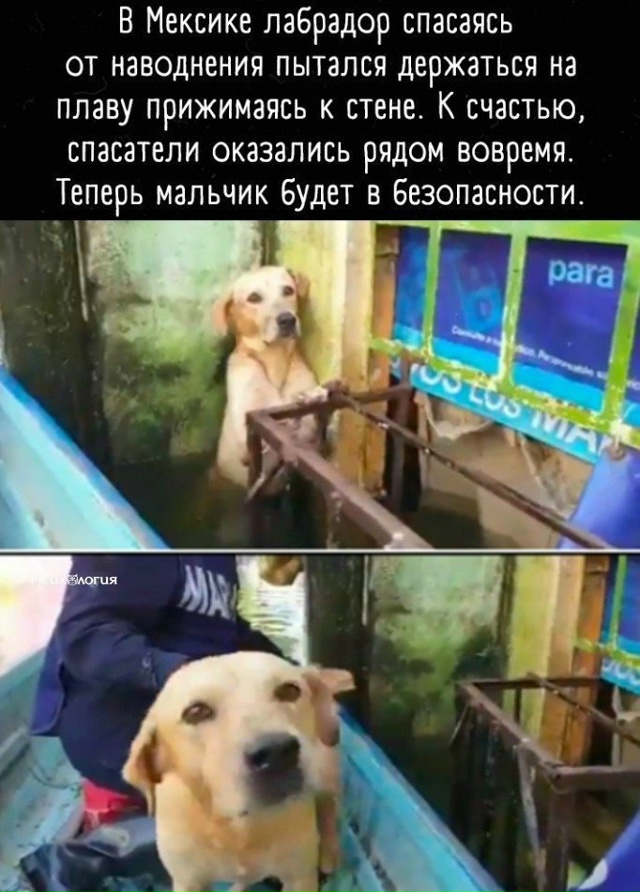 Как же прекрасно, что в этой истории счастливый конец!