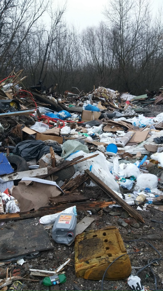 Вот такая вот картина недалеко от городских очистных, ?...