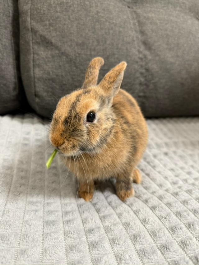 Привет, Волгореченск! 👋 Это снова кафе OASIS 🍽
🦥 Экзот?...