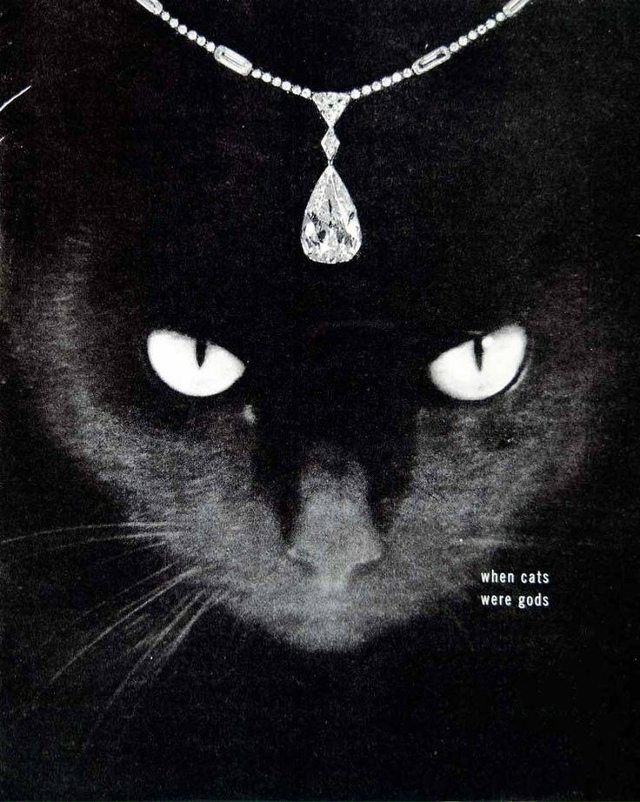Реклама ювелирной компании Harry Winston, 1948 год.