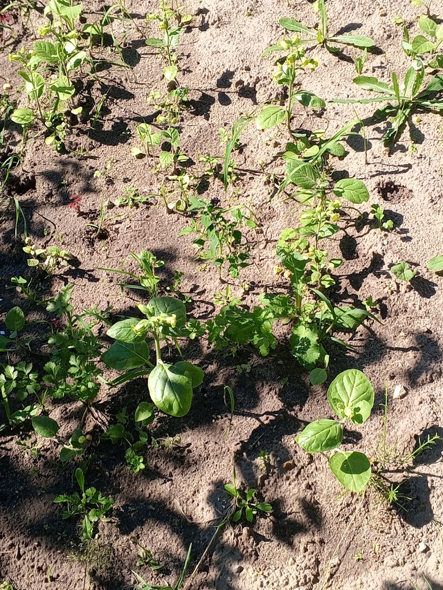 Как мы попали под жару при температуре (+27) градусов.