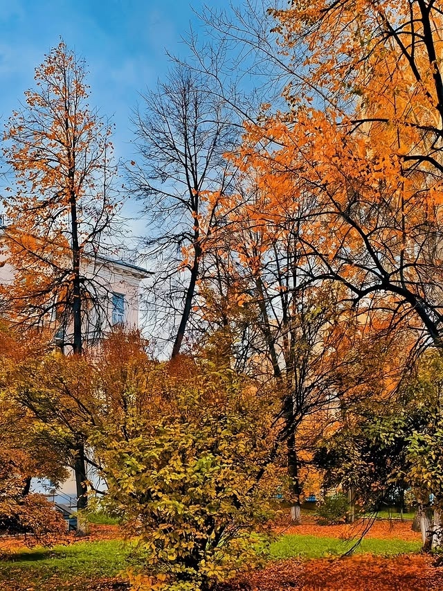 Краски осени🍂