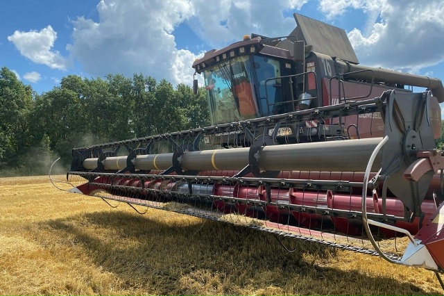 В Пензенской области собрали рекордный урожай
Уже со...