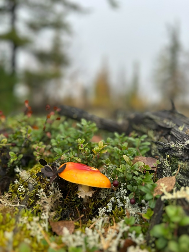 Привет Бузулук! Моя малая родина! Вот такая природа у н?...
