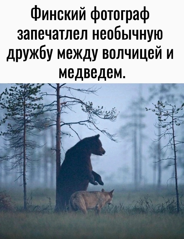 Дружба бывает разной