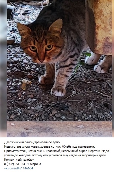 Пост добра. Распространите, пожалуйста.