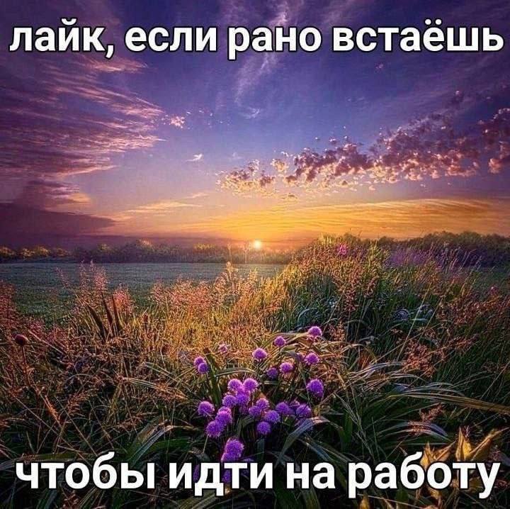 Утренняя подборочка