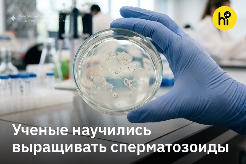 ⚡️ Человеческие сперматозоиды впервые вырастили в лаборатории
Исследователи Paterna Biosciences утв