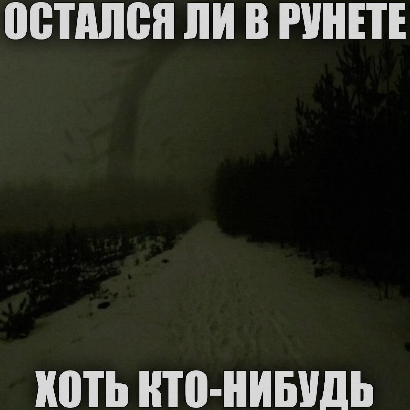 Ночная подборочка
Спать, режим