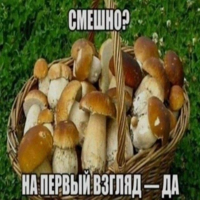 Ночная подборочка
Выходные, не спим