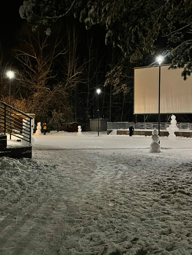 Βeчepний Зaeльцoвcкий пapк ❄️