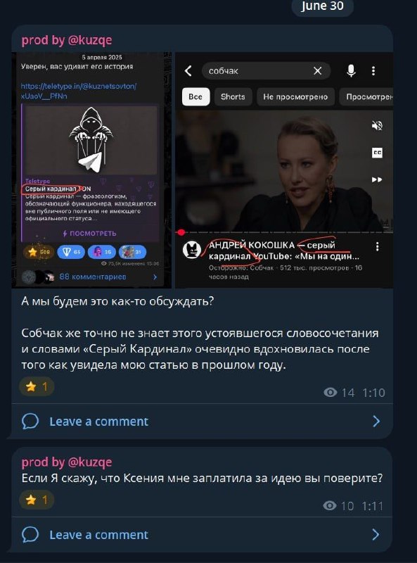 Психически больной серый кардинал TON'а