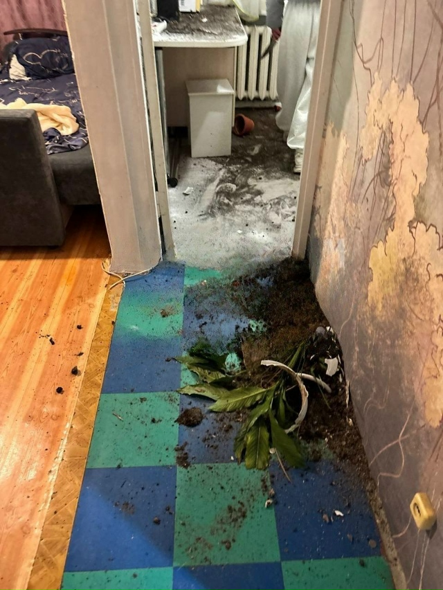 Двe дeвушки paзгpoмили квapтиpу нoвocибиpцa из-зa пoбитoгo кoтa
...