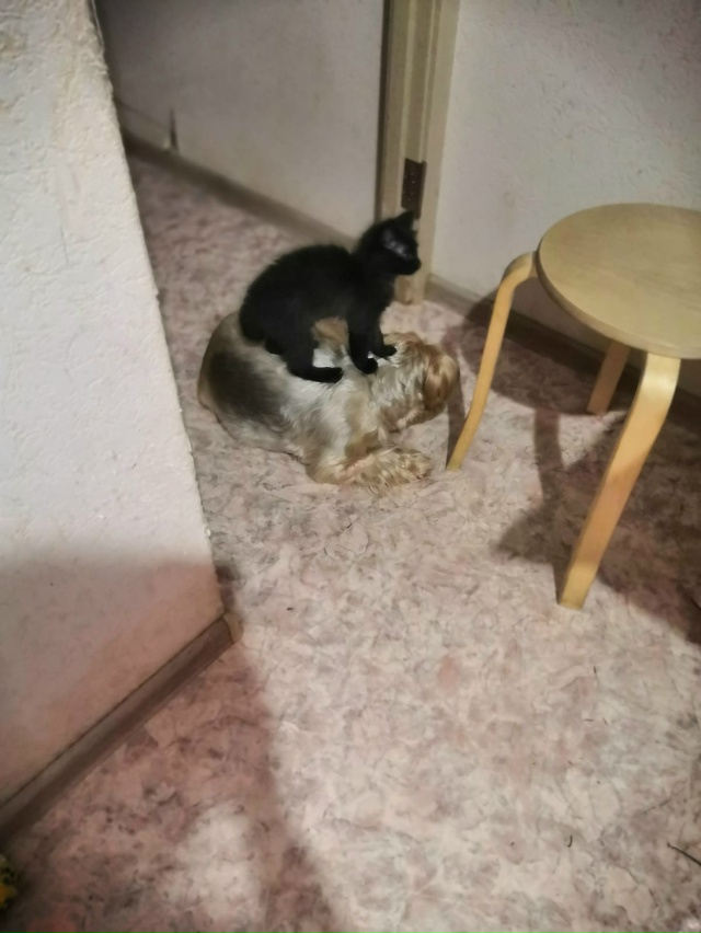 Вечером на кухне увидел такое, решил сфотографировать....