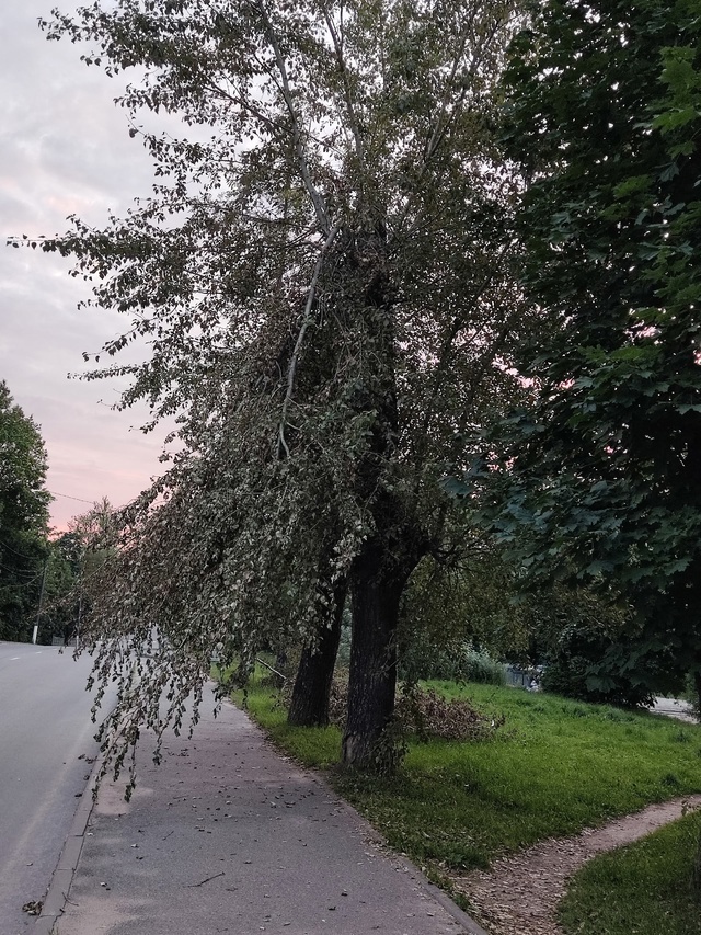 Обращение к администрации! Вы живёте не в нашем городе ...