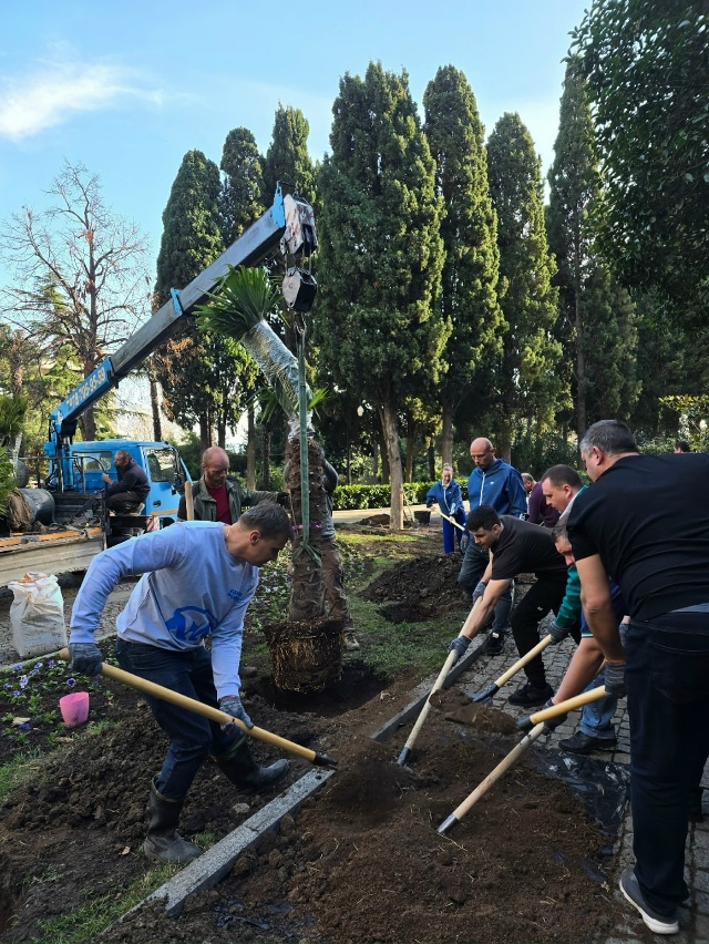 В Ялте работа идёт, город заметно зеленеет, и порядок н?...