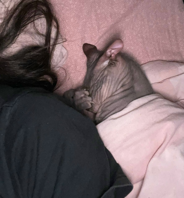 Всрато-подборка Арчибальда Коксовича