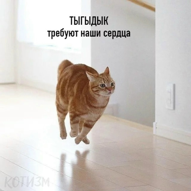 Цoй пo-котeйски (полная версия)