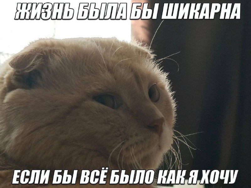 Утренняя подборочка