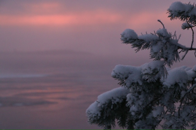 Когда фильтры не нужны🩷
[id1430345|Елена Серикова]