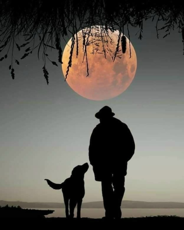 Люди не становятся хуже.
Ты просто узнаешь их лучше.