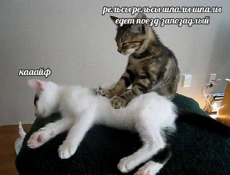 все, что мне сейчас нужно