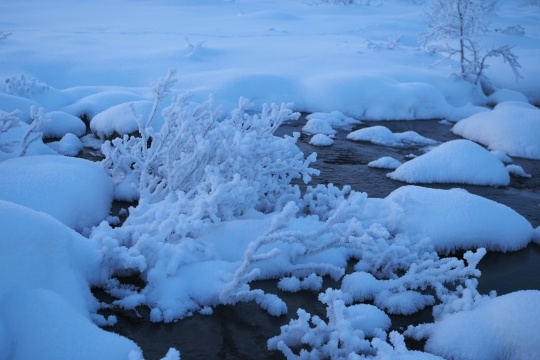 Ледяные узоры Мурманской области 💙
Фото: Ольга Липи?...