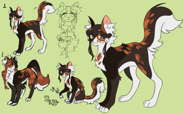 Вторая подопытная у нас — Пестролистая. Мне нравятся е...