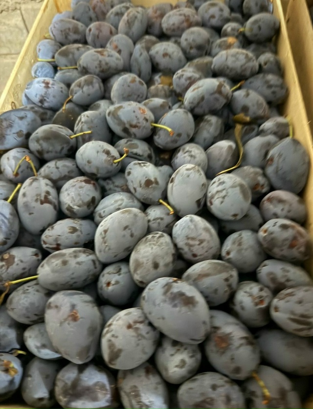 Добрый вечер, дорогие жители с. Красноусольск и Гафури?...