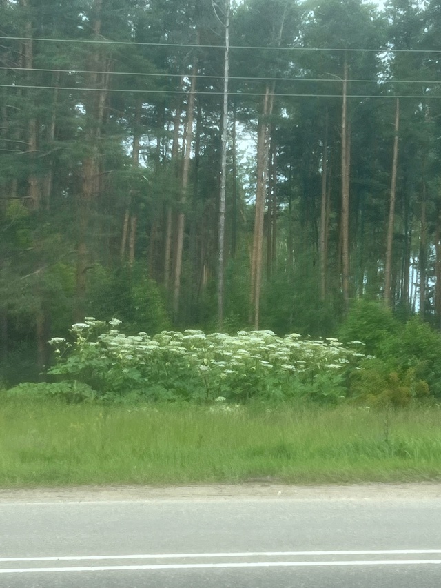 Срочно
Прошу обратить внимание властей, что после зап?...