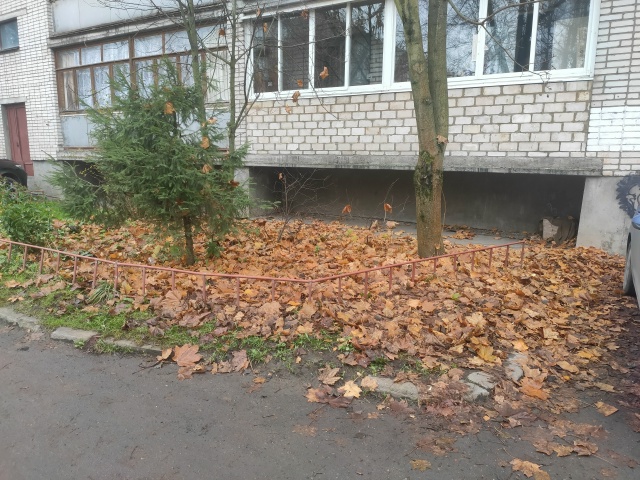 Хотел огорчиться, что у нас во дворе листья не убирают, ...
